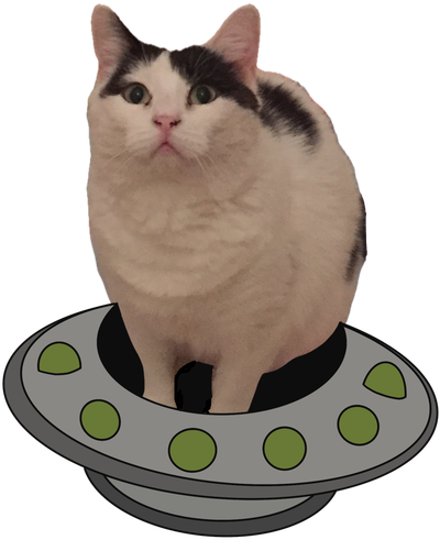 A cat in a flying saucer